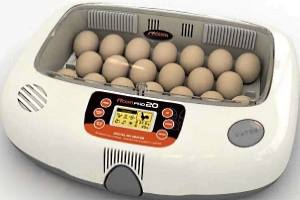 Инкубатор с автоматическим переворотом яиц: виды, устройство, технические х ... - фото