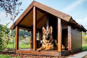 Будка для собаки: нюансы изготовления различных конструкций своими руками - фото