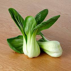 Капуста пак-чой  вкусный и полезный листовой овощ: особенности выращивания и приготовления с фото