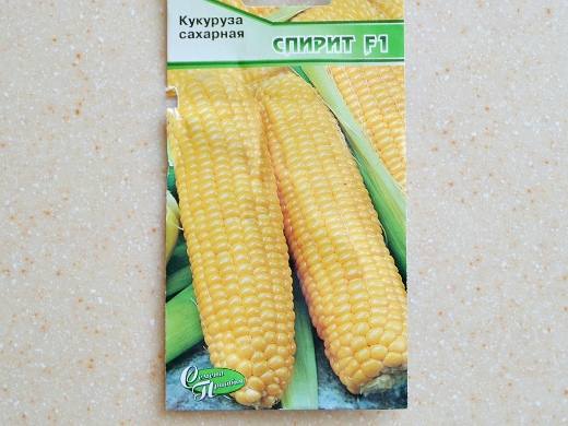 Лучшие сорта кукурузы для любых регионов России - фото