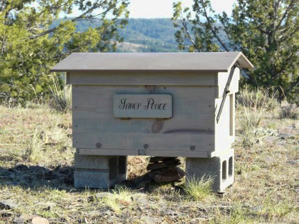 Ключевые правила по содержанию пчелок в городах и сёлах - фото