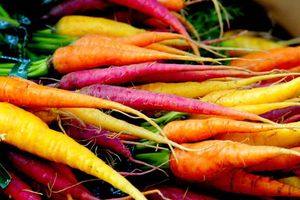 Многообразие сортов моркови: окраска, форма и сроки созревания - фото