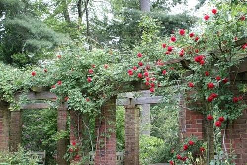 Сад Хилвуд (Вашингтон, США) с фото