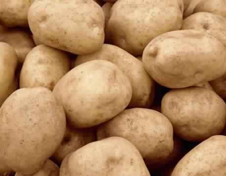 Секреты проращивания картофеля - яровизация перед посадкой - фото