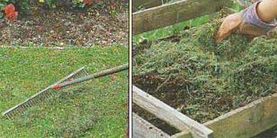 Как использовать скошенную траву во благо огороду - фото