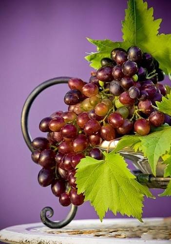 Сорт винограда Рубин - фото
