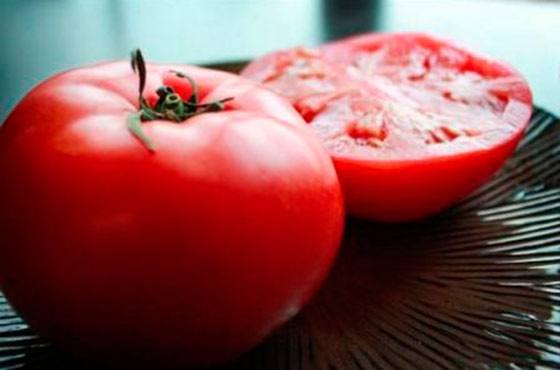 Сорт томатов Ультраскороспелый: урожай через 50 дней с фото