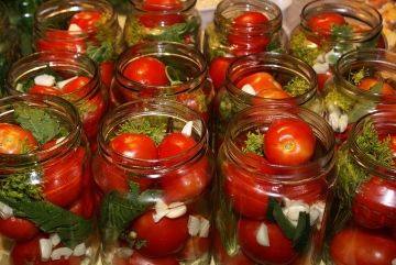 Как солить помидоры холодным способом: рецепты, советы, фото и видео - фото